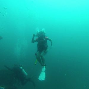 Meet your Posher, Alisha